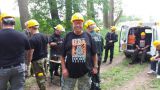 Bild-50
