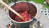 Bild-25