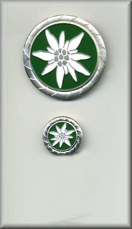 das-gebirgsedelweiss